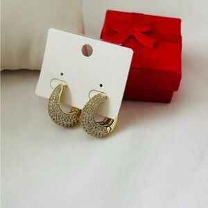 Elegant Gold Hoop Earrings